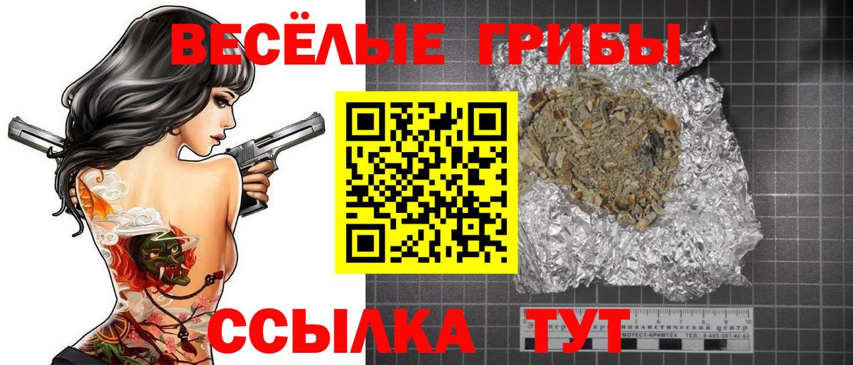 Чернушка  Псилоцибиновые грибы мухоморы  наркота  Вход с VPN 